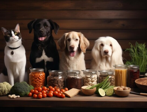 Sourcing Ethically for Pet Food Success